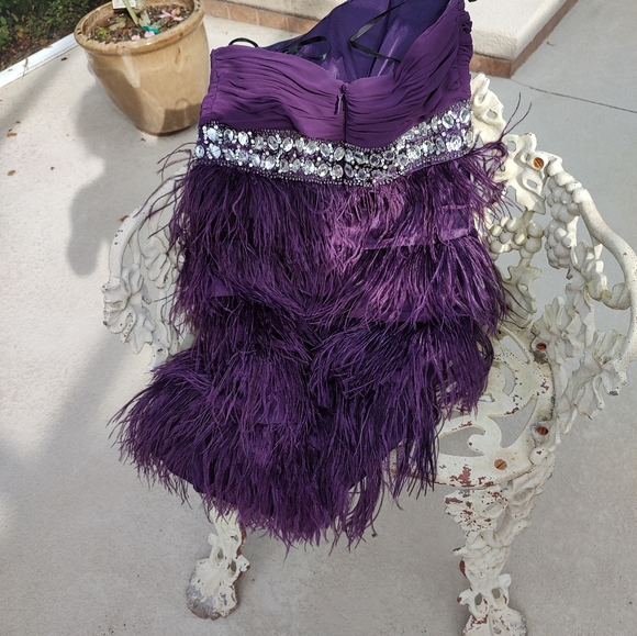 Beautiful feather and Rhinestone Dress - Picture 3 of 11